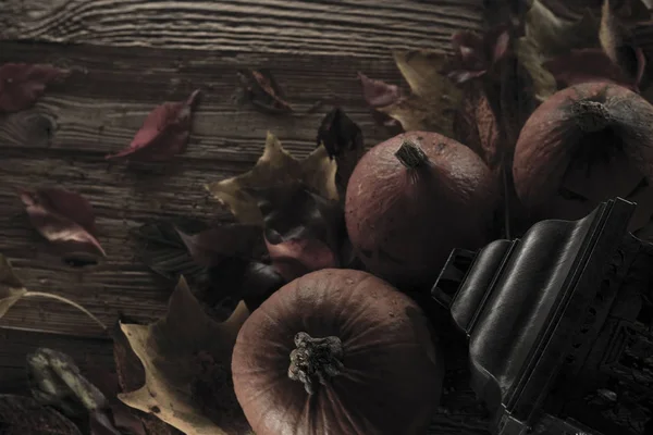 Cadılar Bayramı teması. Arka plan kavramı.