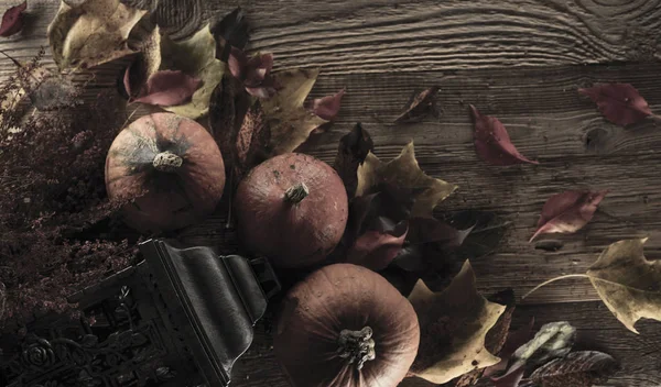 Cadılar Bayramı teması. Arka plan kavramı.