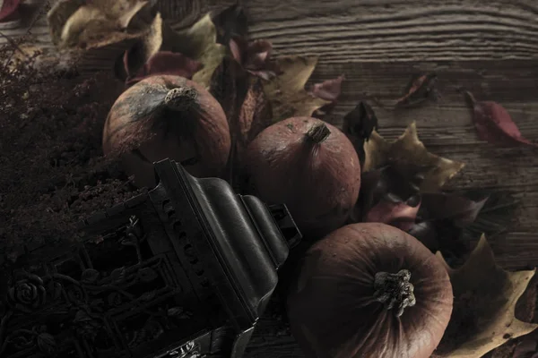 Cadılar Bayramı teması. Arka plan kavramı.