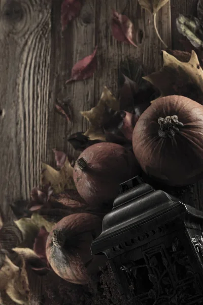 Cadılar Bayramı teması. Arka plan kavramı.