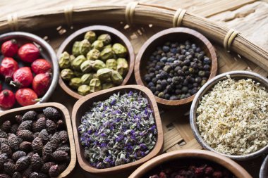 Alternatif Tıp kavramı