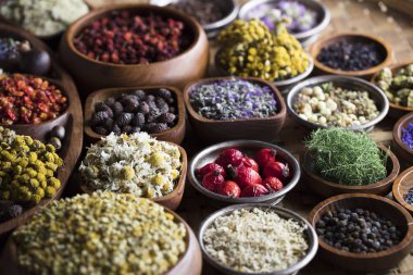 Alternatif Tıp kavramı