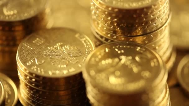 Montón Monedas Concepto Dinero Dolly Disparó — Vídeos de Stock