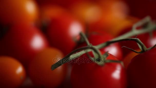 关闭成熟的樱桃番茄为背景 复制空间 — 图库视频影像