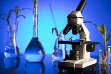 Biyoteknoloji ve çiçek bilim Tema. Flora laboratuvar deneme. Mavi arka plan.