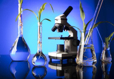 Biyoteknoloji ve çiçek bilim Tema. Flora laboratuvar deneme. Mavi arka plan.