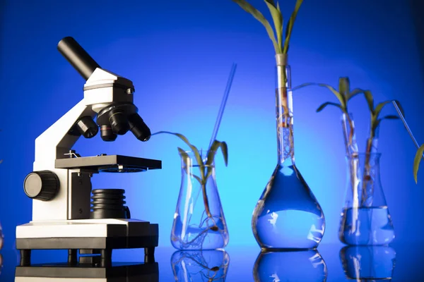 Biotechnology Floral Science Theme Experimenting Flora Laboratory Blue Background — Stock Photo, Image