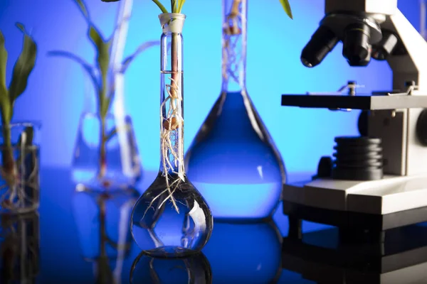 Biotecnologia Tema Ciência Floral Experimentando Com Flora Laboratório Fundo Azul — Fotografia de Stock