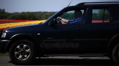 Çiçek alanları. Doğa. Dolly vurdu.