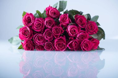 Sevgililer günü kavramı. Beyaz zemin üzerine kırmızı gül buketi. Tipografi için yer.