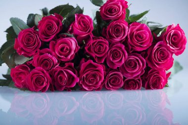 Sevgililer günü kavramı. Beyaz zemin üzerine kırmızı gül buketi. Tipografi için yer.