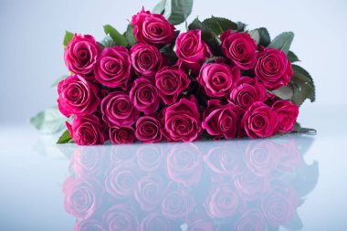 Sevgililer günü kavramı. Beyaz zemin üzerine kırmızı gül buketi. Tipografi için yer.