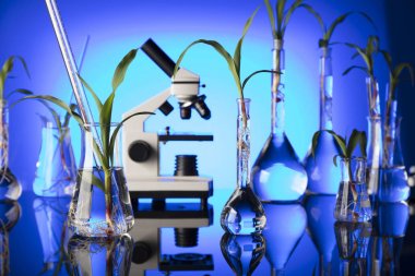 Biyoteknoloji ve çiçek bilim Tema. Flora laboratuvar deneme. Mavi arka plan.