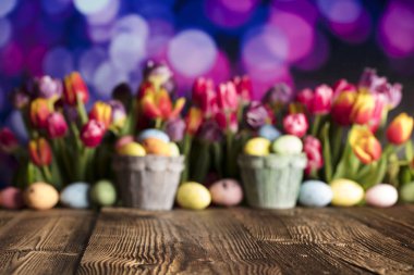 Paskalya Tema. Paskalya yumurtaları. Renkli Lale. Rustik ahşap masa. Odak sığ derinliği. Bokeh arka plan. 