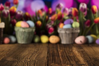 Paskalya Tema. Paskalya yumurtaları. Renkli Lale. Rustik ahşap masa. Odak sığ derinliği. Bokeh arka plan. Typhography için yer.