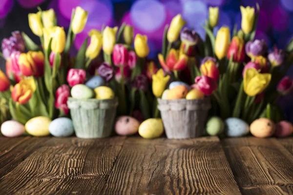Paskalya Tema. Paskalya yumurtaları. Renkli Lale. Rustik ahşap masa. Odak sığ derinliği. Bokeh arka plan. Typhography için yer.