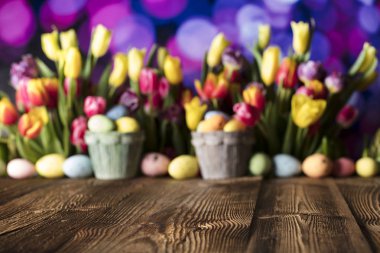 Paskalya kavramı arka plan. Paskalya yumurtaları. Renkli Lale. 