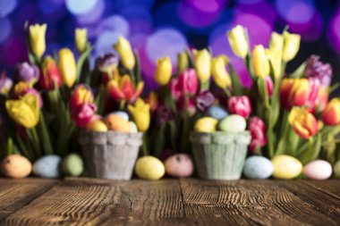 Paskalya kavramı arka plan. Paskalya yumurtaları. Renkli Lale. 