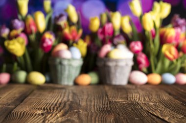 Paskalya kavramı arka plan. Paskalya yumurtaları. Renkli Lale. 