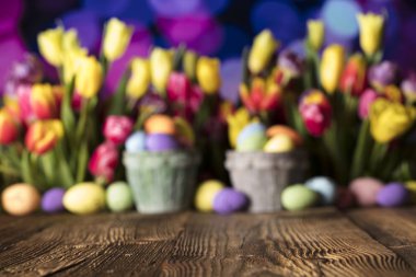Paskalya Tema. Lale buketi. Paskalya yumurtaları. Renkli bokeh, tipografi ve logo için yer. Rustik ahşap masa. 