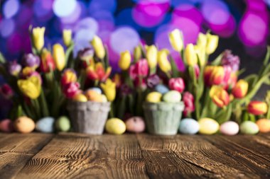 Paskalya arka plan. Rustik ahşap masa. Lale ve bahar çiçekleri. Paskalya yumurtaları. Renkli bokeh. Tipografi için yer.