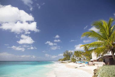 Yaz. Egzotik tatil. Palmiye ağaçları. Turkuaz su. Güneşli mavi gökyüzü. Güzel beyaz kum plaj. Parmak bir Asansör.