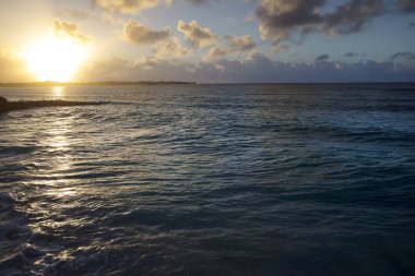 Yaz. Egzotik tatil. Palmiye ağaçları. Turkuaz su. Güneşli mavi gökyüzü. Güzel beyaz kum plaj. Parmak bir Asansör.