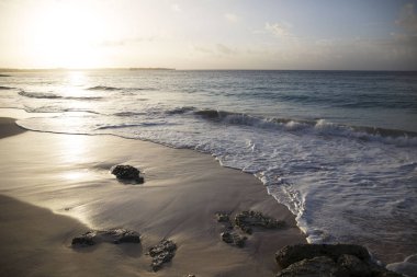 Yaz. Egzotik tatil. Palmiye ağaçları. Turkuaz su. Güneşli mavi gökyüzü. Güzel beyaz kum plaj. Parmak bir Asansör.