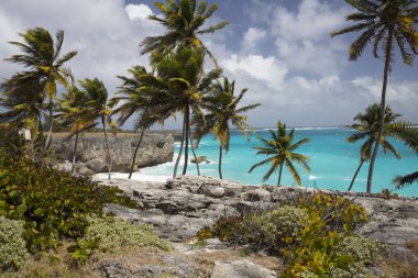 Yaz. Egzotik tatil. Palmiye ağaçları. Turkuaz su. Güneşli mavi gökyüzü. Güzel beyaz kum plaj. Parmak bir Asansör.