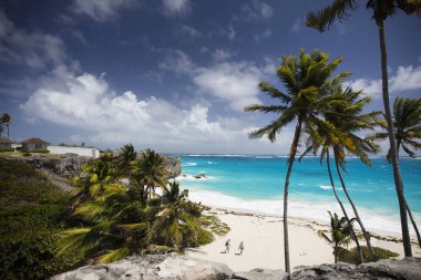 Yaz. Egzotik tatil. Palmiye ağaçları. Turkuaz su. Güneşli mavi gökyüzü. Güzel beyaz kum plaj. Parmak bir Asansör.