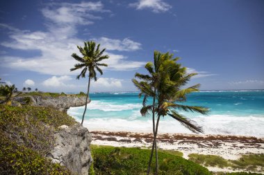 Yaz. Egzotik tatil. Palmiye ağaçları. Turkuaz su. Güneşli mavi gökyüzü. Güzel beyaz kum plaj. Parmak bir Asansör.