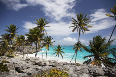 Yaz. Egzotik tatil. Palmiye ağaçları. Turkuaz su. Güneşli mavi gökyüzü. Güzel beyaz kum plaj. Parmak bir Asansör.