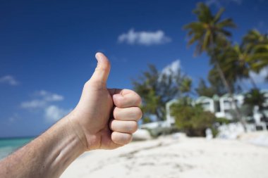 Yaz. Egzotik tatil. Palmiye ağaçları. Turkuaz su. Güneşli mavi gökyüzü. Güzel beyaz kum plaj. Parmak bir Asansör.