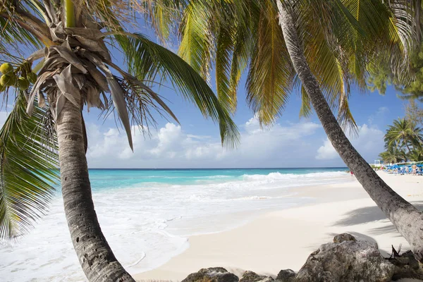 Estate Vacanze Esotiche Palme Acqua Turchese Cielo Blu Soleggiato Bella — Foto Stock