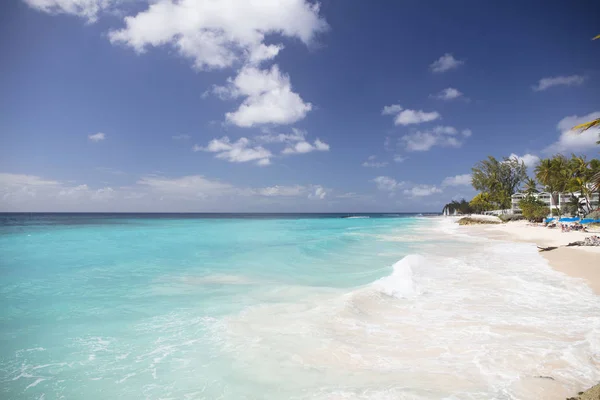 Estate Vacanze Esotiche Palme Acqua Turchese Cielo Blu Soleggiato Bella — Foto Stock