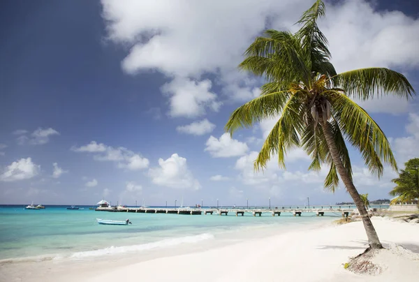 Verano Vacaciones Exóticas Palmeras Agua Turquesa Cielo Azul Soleado Hermosa —  Fotos de Stock