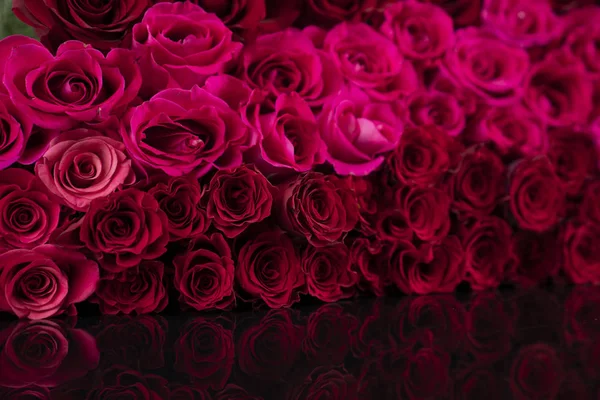 Valentijnsdag Concept Natuurlijke Rode Rozen Achtergrond — Stockfoto