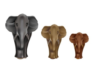 Doğayı ve hayvanları güzelliği