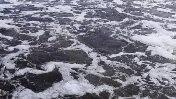 Fluxo Rápido Rio Espuma Está Flutuar Água Poder Natureza — Vídeo de Stock