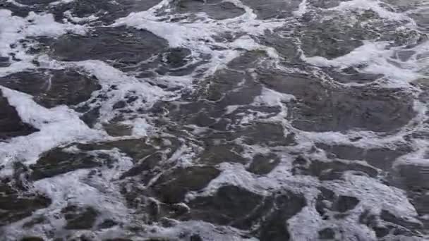 Hızlı Akış Nehri Üzerinde Köpük Üzerinde Yüzer Doğanın Gücünü — Stok video