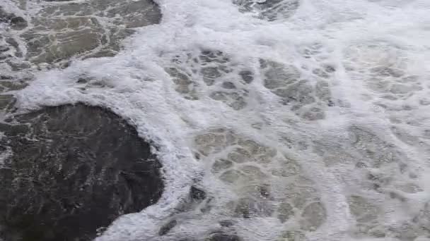 Fluxo Rápido Rio Espuma Está Flutuar Água Poder Natureza — Vídeo de Stock