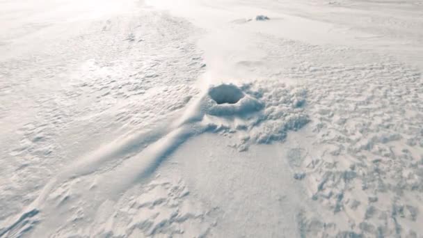 Ghiaccio Sul Grande Fiume Vento Soffia Soffia Neve Una Gelida — Video Stock