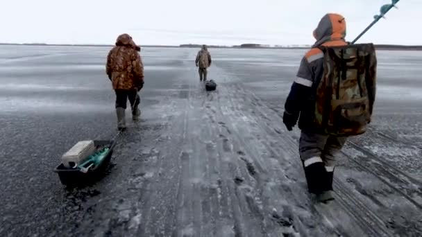 Большая Река Зимой Рыбаки Ходят Плоскому Льду Сани Шестернями Тащат — стоковое видео