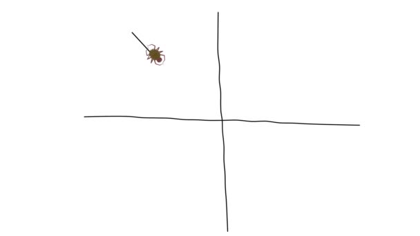 Uma Pequena Aranha Tece Uma Teia Desenhos Animados Sobre Fundo — Vídeo de Stock