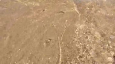 Saf temiz su ve sarı kum. Güneşin parlaklığı. Yakın plan. Güzel doku.