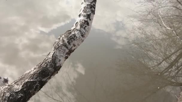 Bulutlar Ağaçlar Gölün Suyuna Yansıyor Çerçevenin Köşesinde Bir Ağaç Gövdesi — Stok video