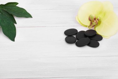 Orkide çiçekleri ve spa araçları ile sağlık arka plan: krem, losyon, havlu ve 