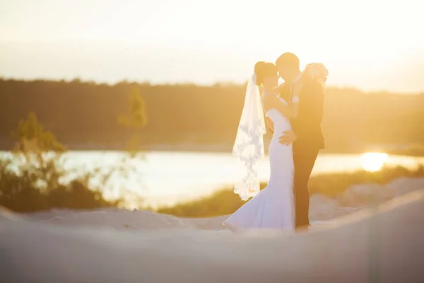 Groom está segurando e beijando sua noiva no pôr do sol de fundo — Fotografia de Stock