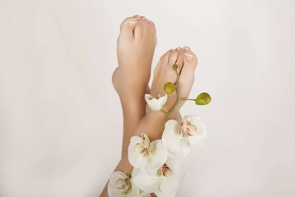 健康な脚 スキンケア 長い女性の足や手 — ストック写真