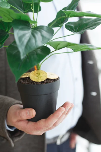 Man holding, house plant with coins of bitcoin on the ground — Stock Photo, Image